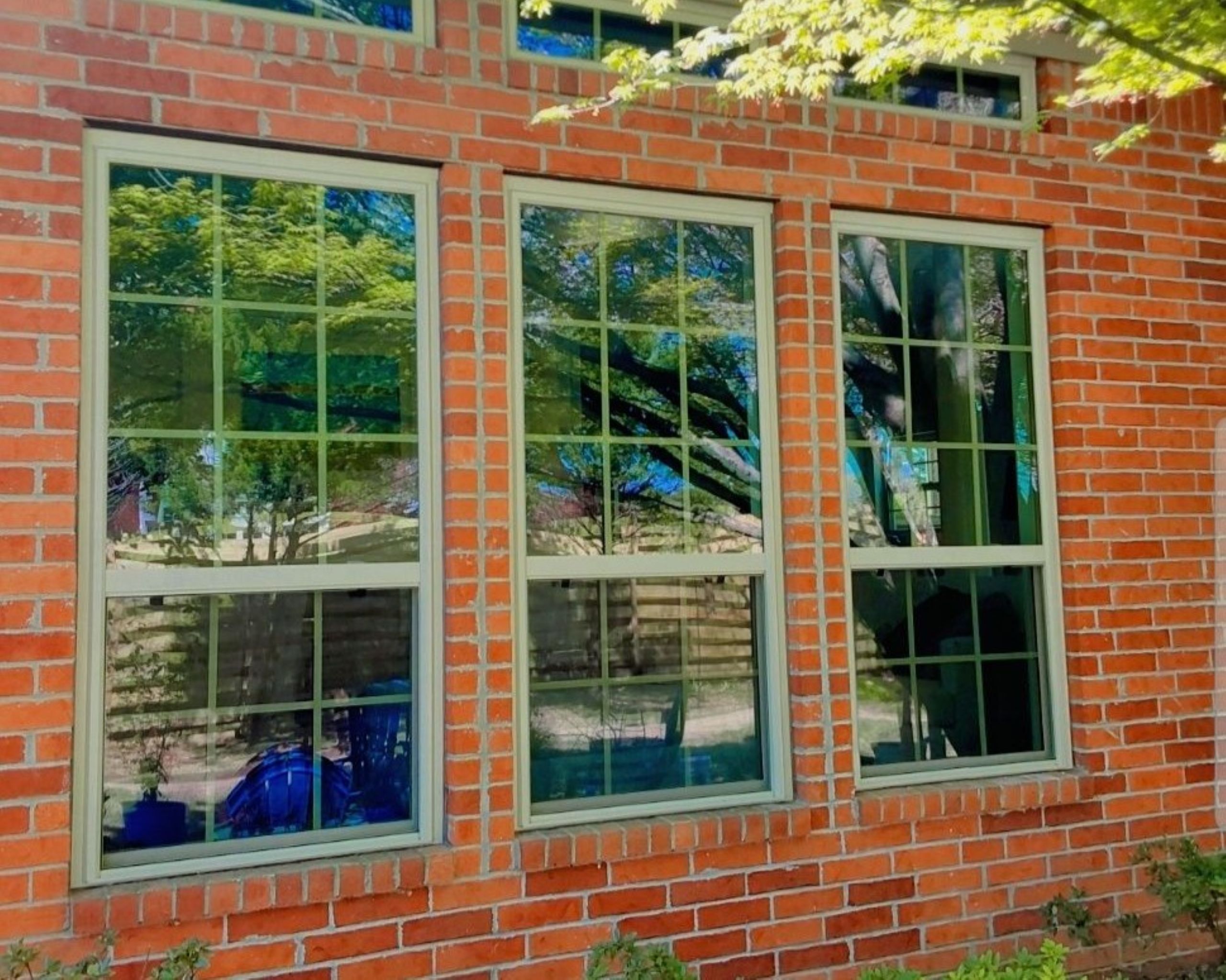 Three large, rectangular tempered glass windows set in a red brick wall reflect green trees and a wooden fence in a sunny outdoor scene.